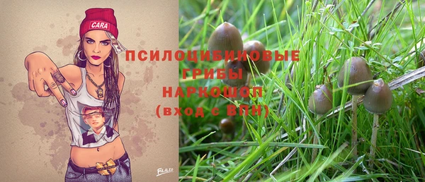 2c-b Абинск