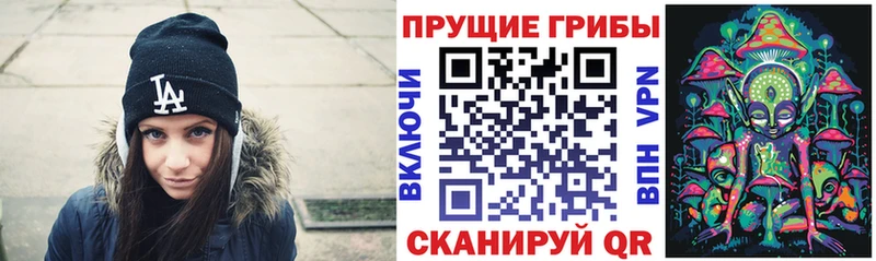 Псилоцибиновые грибы GOLDEN TEACHER Каменск-Шахтинский