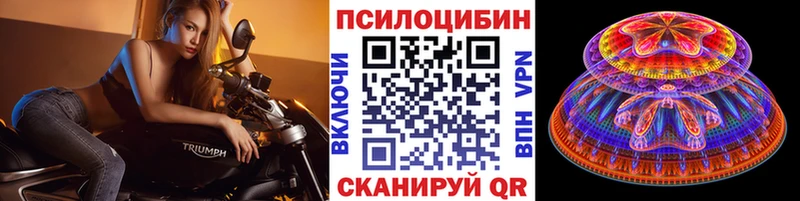 купить  цена  Каменск-Шахтинский  кракен tor  Галлюциногенные грибы мицелий 
